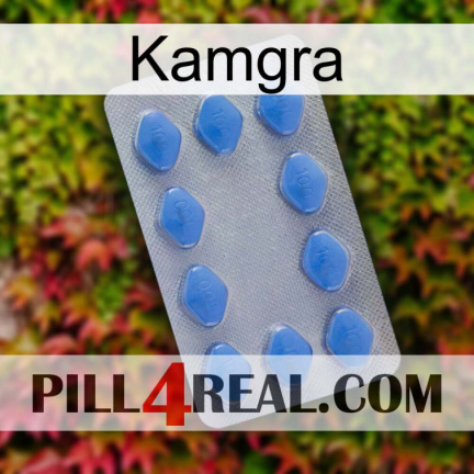 Kamgra 21
